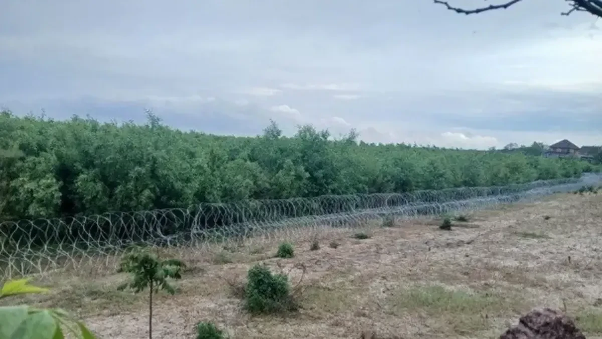 “Чуєш просто сотні солов'їв”. Що відбувається на дні колишнього Каховського …