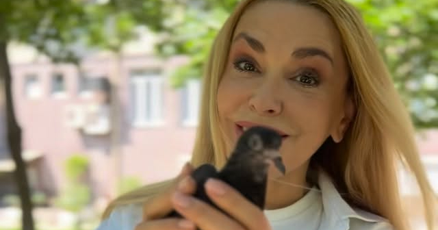 "Щаслива історія": Сумська замилувала відео, як відпускає на волю врятовану …