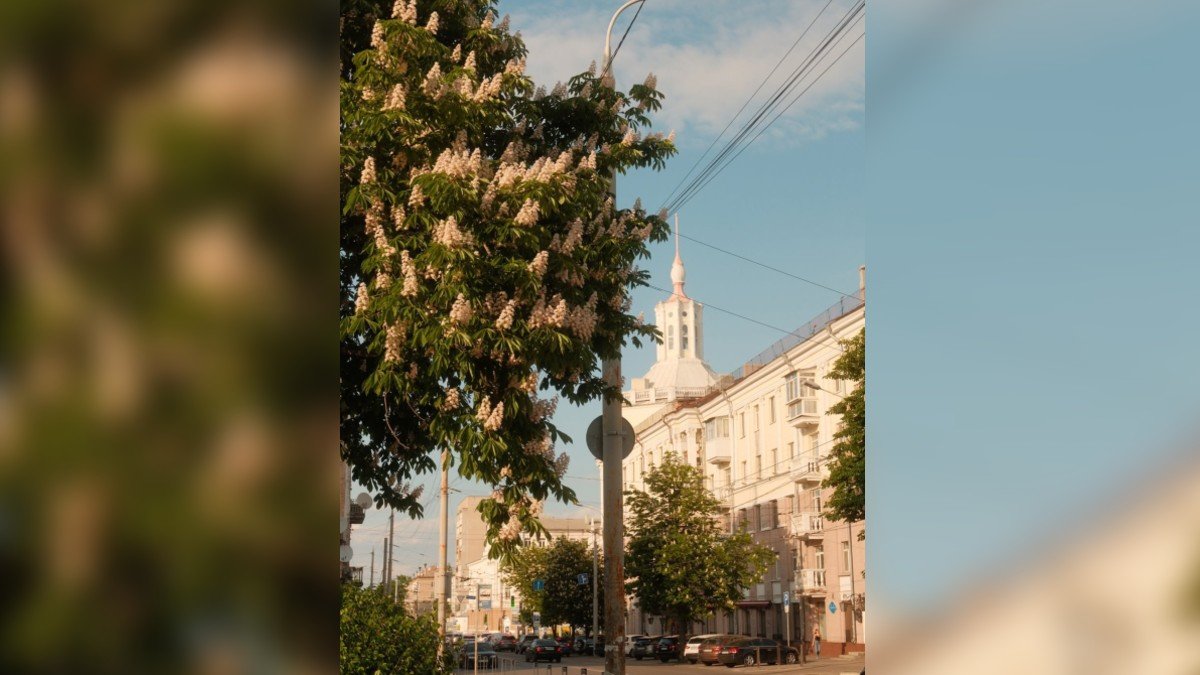 Якби у Дніпра був Instagram: топ красивих світлин міста