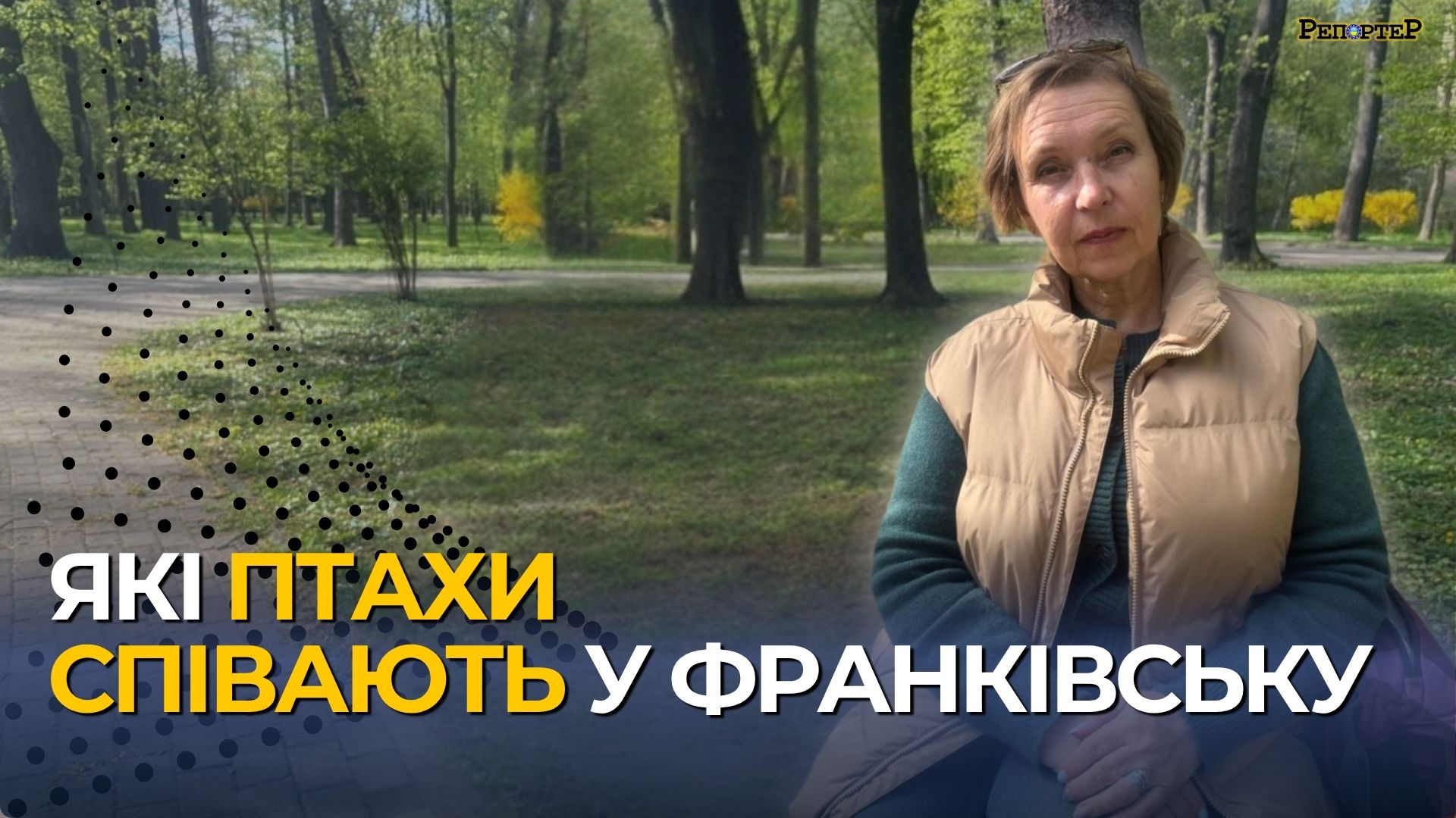 Які види птахів живуть у Франківську та через що їхня …