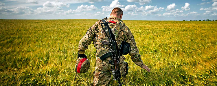 Як ветерани, що повернулися з фронту, будують агробізнес на Київщині