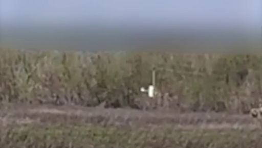 Прикордонники показали, як "приземляють" дрони РФ на Харківщині