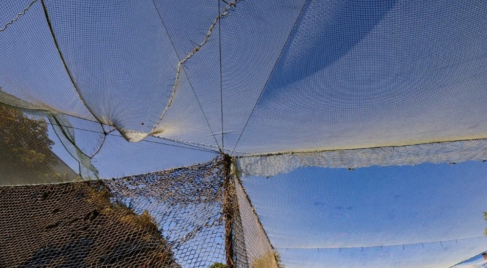 150 кілометрів доріг Дніпропетровщини захищені антидроновими сітками