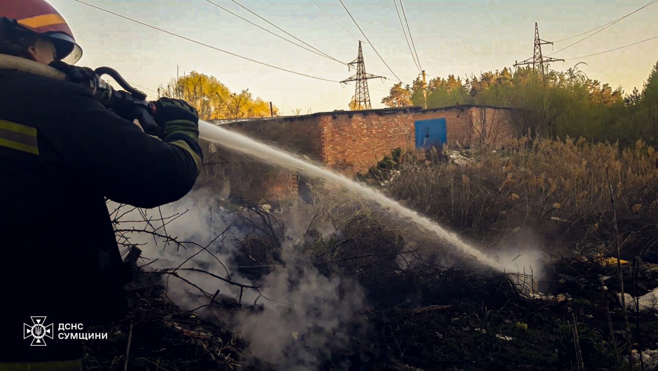 На Сумщині вогнеборці п’ять разів ліквідовували загоряння в природних екосистемах