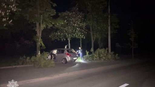 У Харкові п'яний водій врізався в дерево