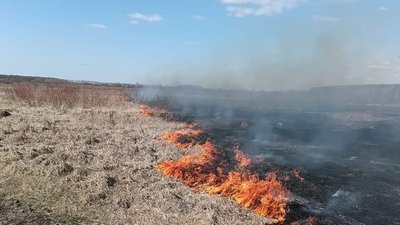 На Львівщині з початку травня вигоріло понад 40 гектарів землі …