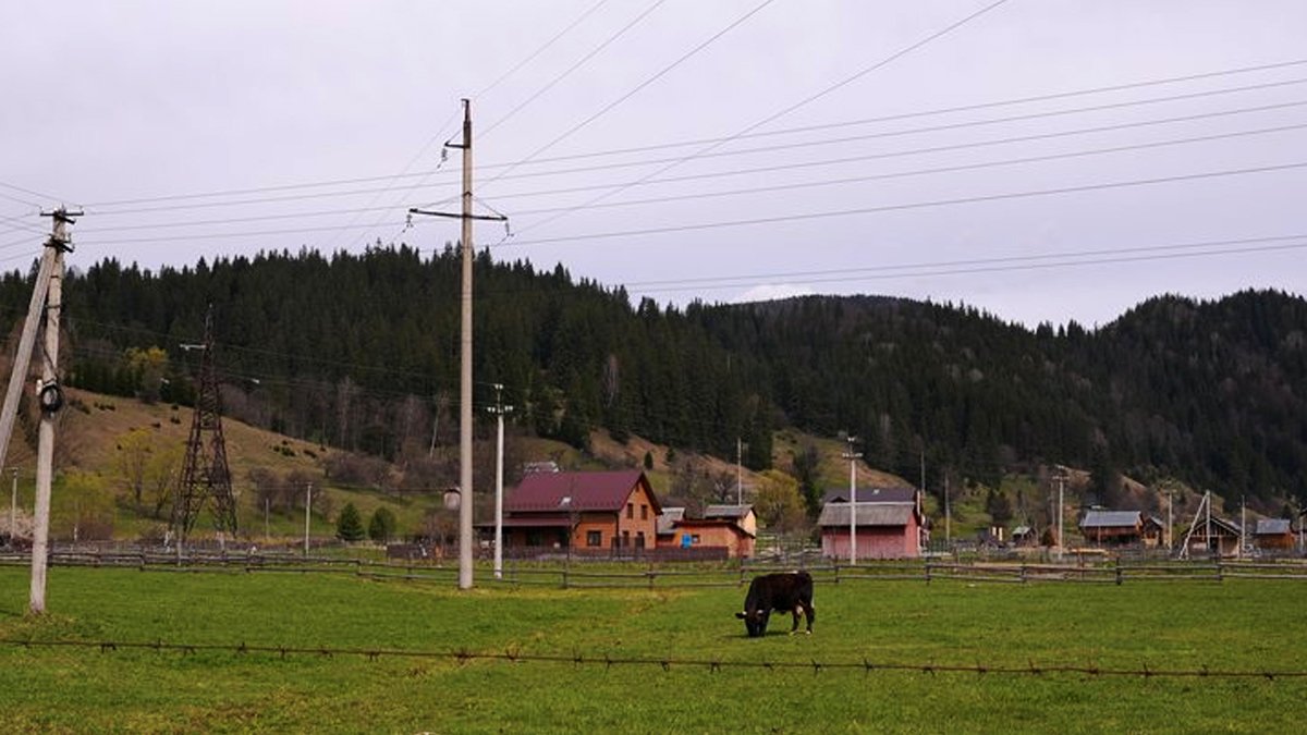 40-метрові електроопори біля хат: чому жителі двох сіл на Верховинщині …