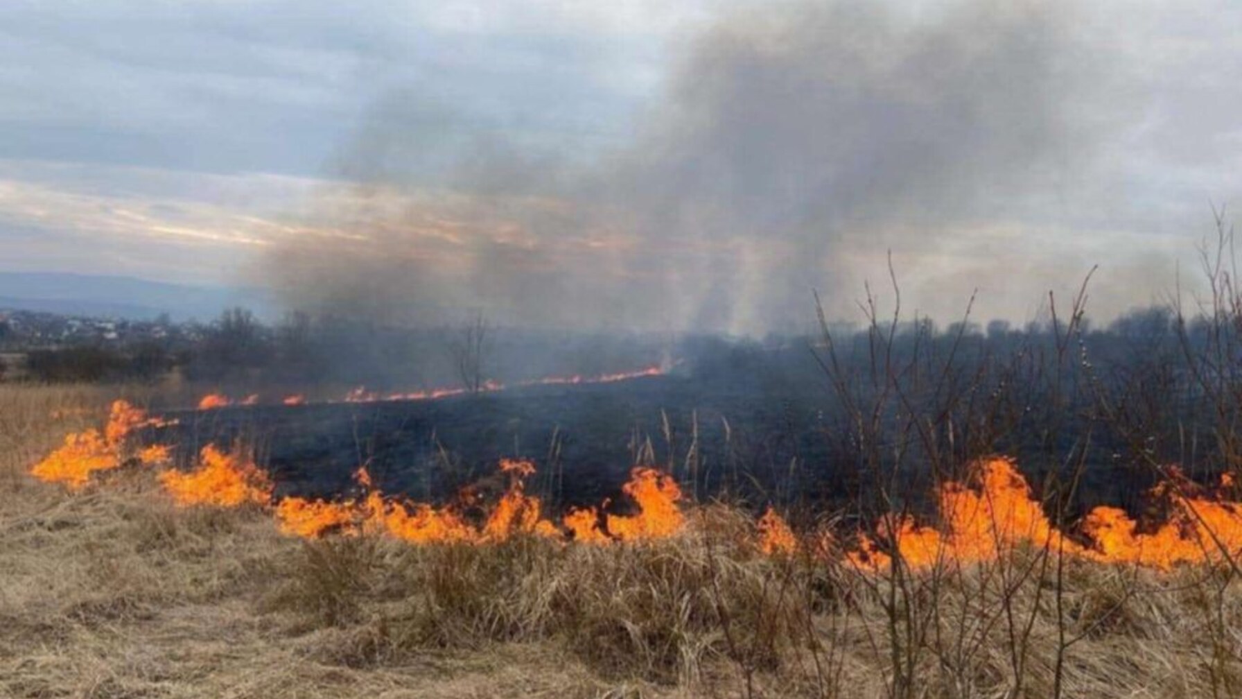 З початку року у Львівській громаді за підпал трави оштрафували …