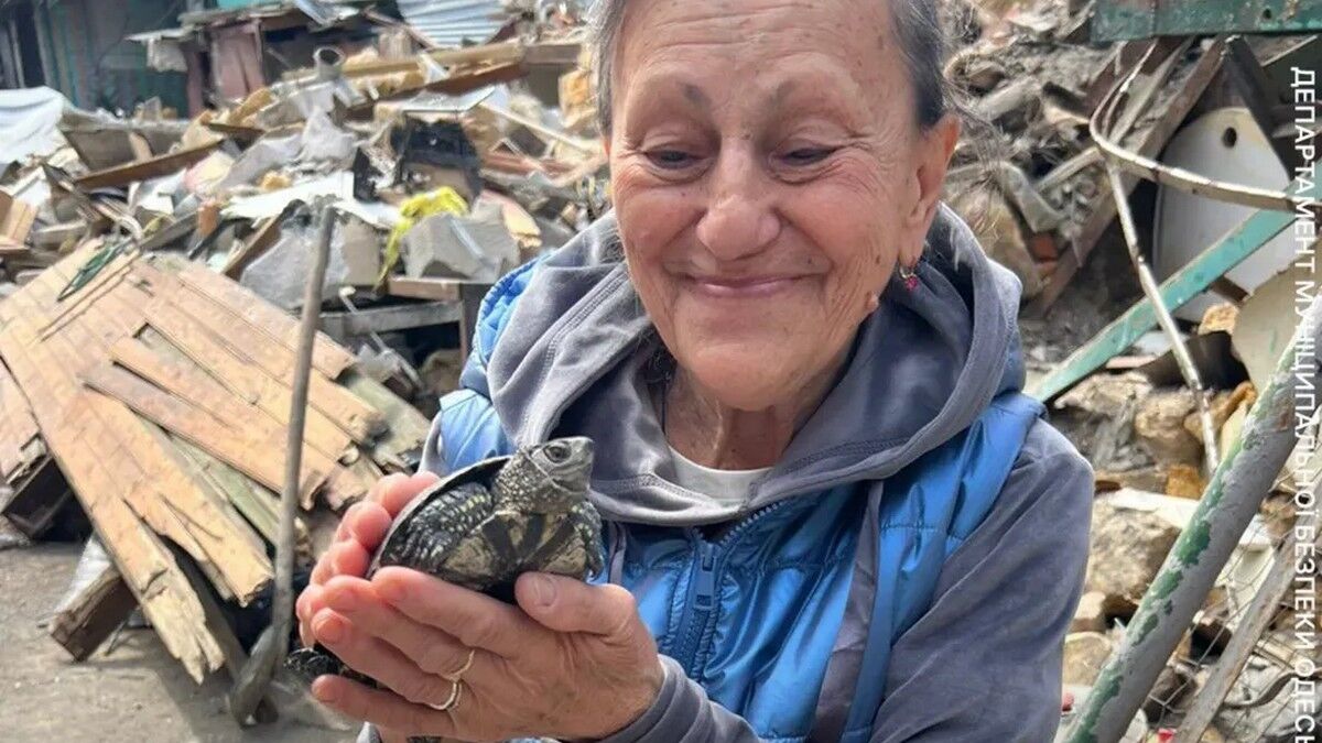 «Я вірила, що Філіпп живий»: в Одесі врятували черепаху, яка …