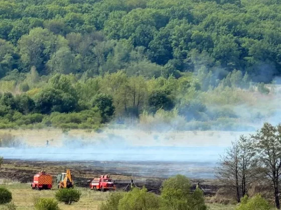 Пожежа торфу поблизу Ситихова охопила близько 5 гектарів