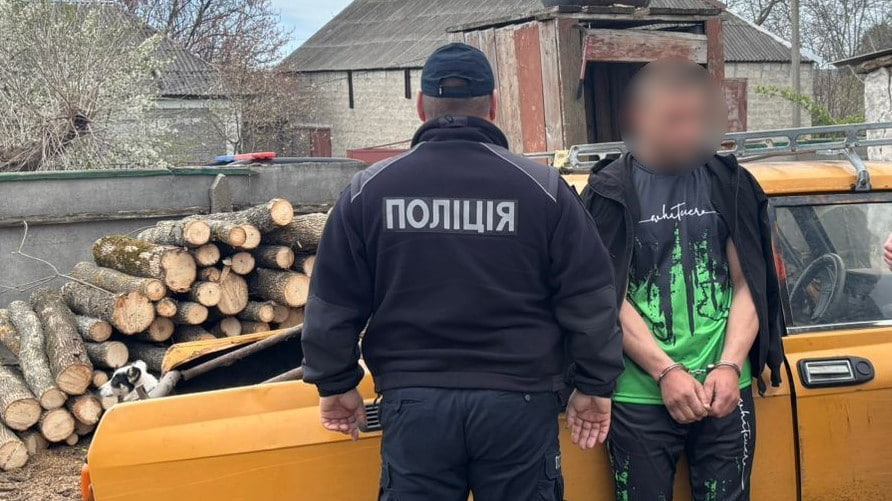 650 тис. грн за спиляні дуби та ясени: на Новоукраїнщині …