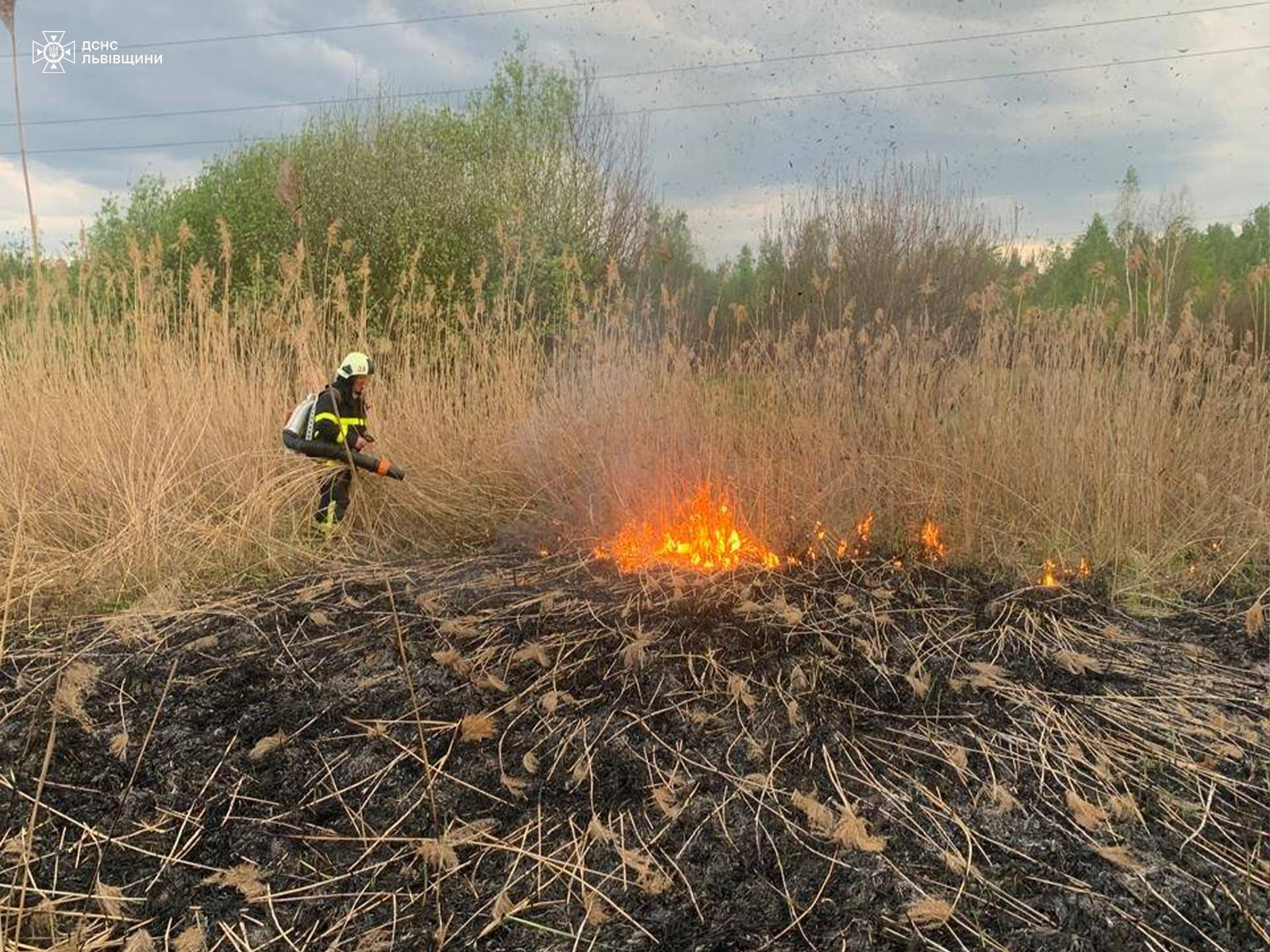За добу на Львівщині сталося 12 пожеж в екосистемах