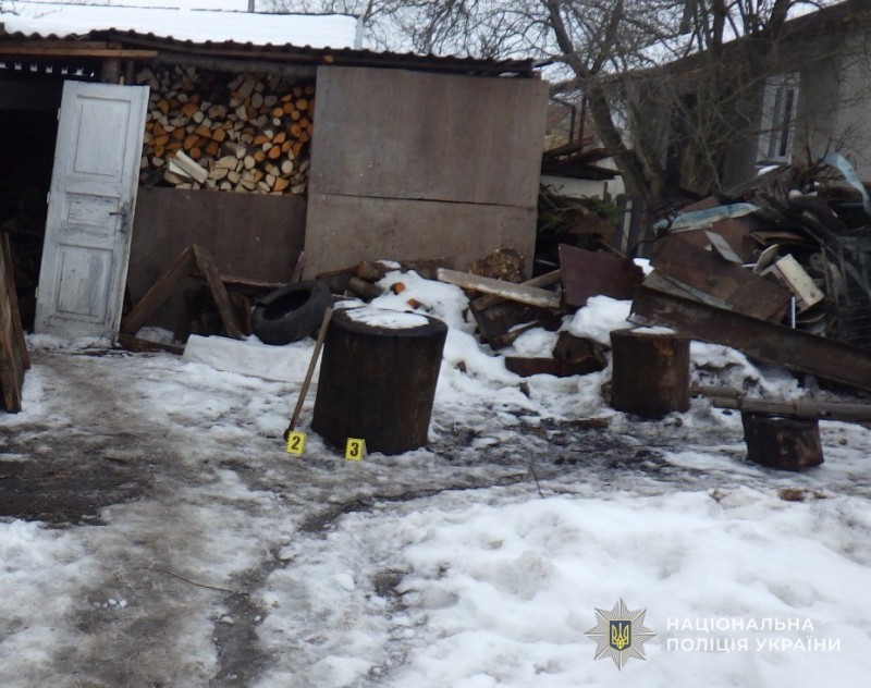 На Львівщині судитимуть чоловіка за жорстоке вбивство кота