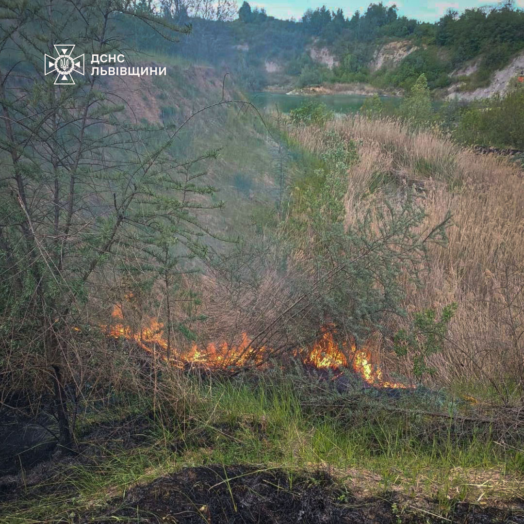 На Львівщині за добу сталося 33 пожежі: рятувальники попереджають про …