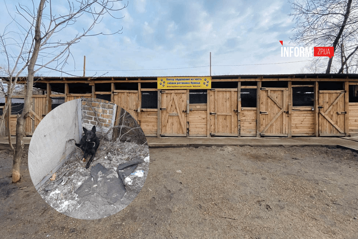 Alyona Alyona відвідала притулок у Запоріжжі та привезла допомогу