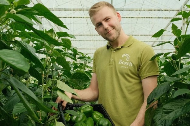 Bosch Growers інтегрували сенсори Quantified для контролю фертигації та кореневої …