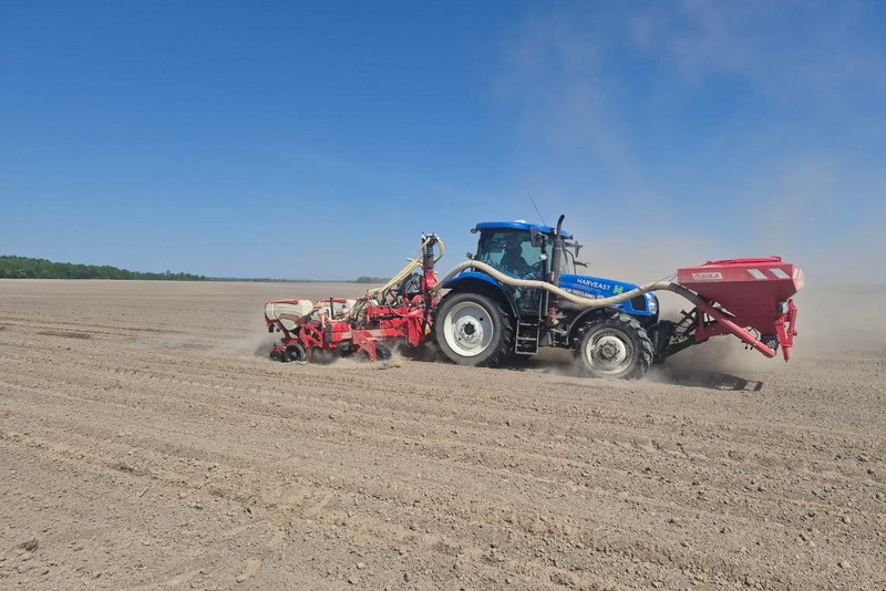 В агрохолдинзі HarvEast вперше посіяли цукровий буряк, посівна ярих завершена