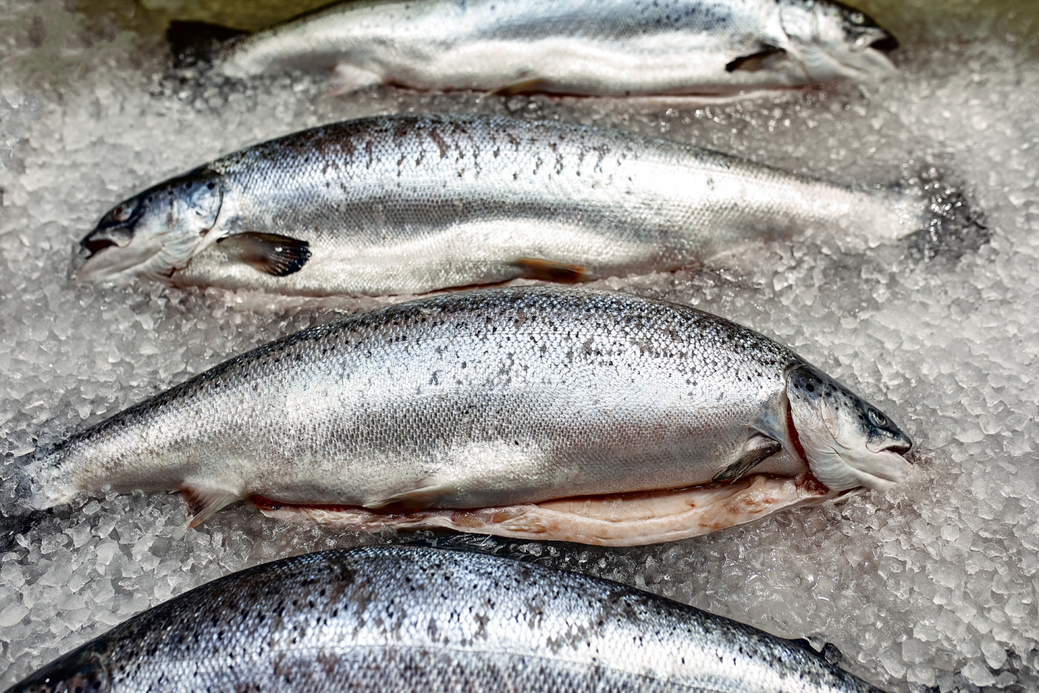 Топ-5 продуктів, які категорично не можна їсти з рибою