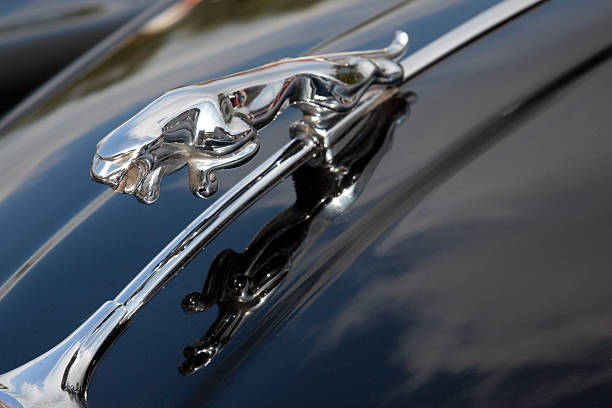 Прибуток Jaguar Land Rover впав на 99% через мита США …