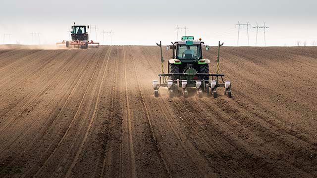 KSG Agro розпочав сівбу соняшнику на 5,9 тис. га