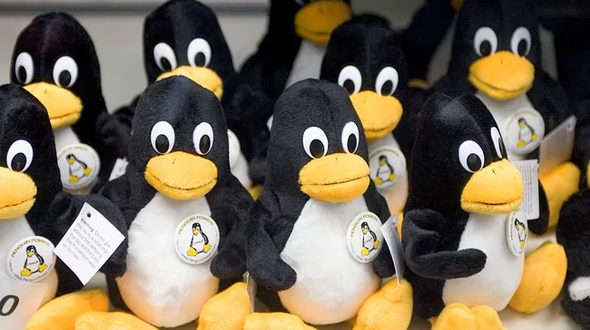 Linux виведуть з-під каліфорнійського закону про верифікацію віку: SteamOS під …