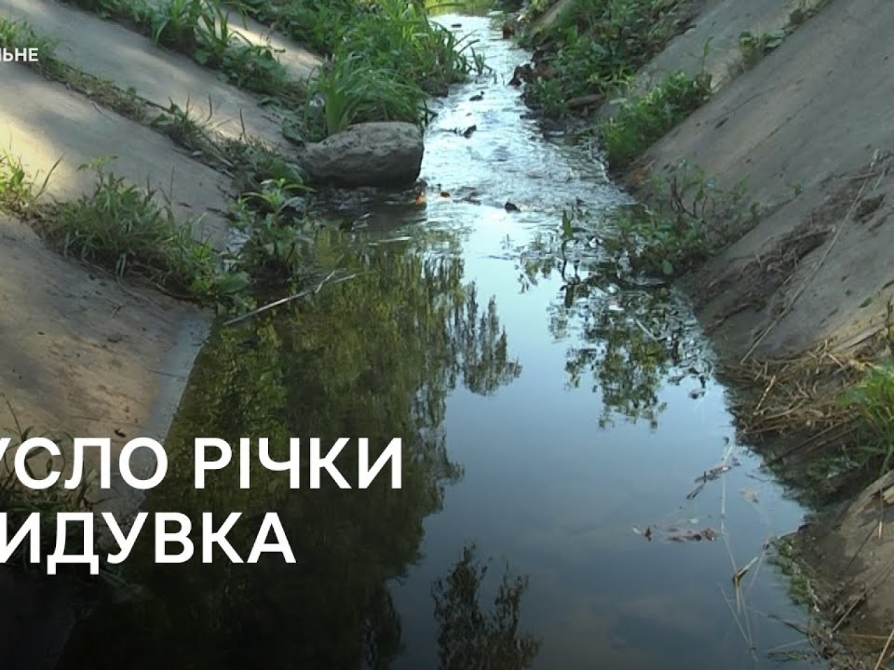 У Луцьку розчистили від аварійних дерев річку Жидувку