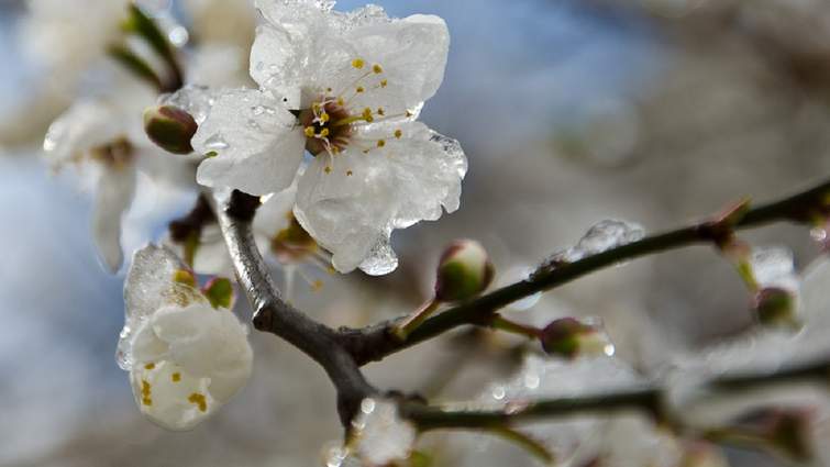 У Львові — рекордний холод: температура впала до найнижчого рівня …