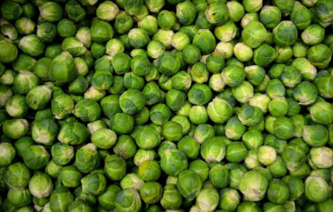 Ідеальні продукти для покращення пам'яті та уваги