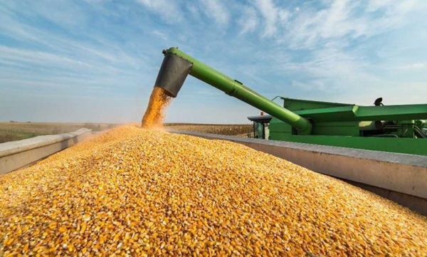 Україна збільшила агроекспорт на 8,3% у грошовому вимірі