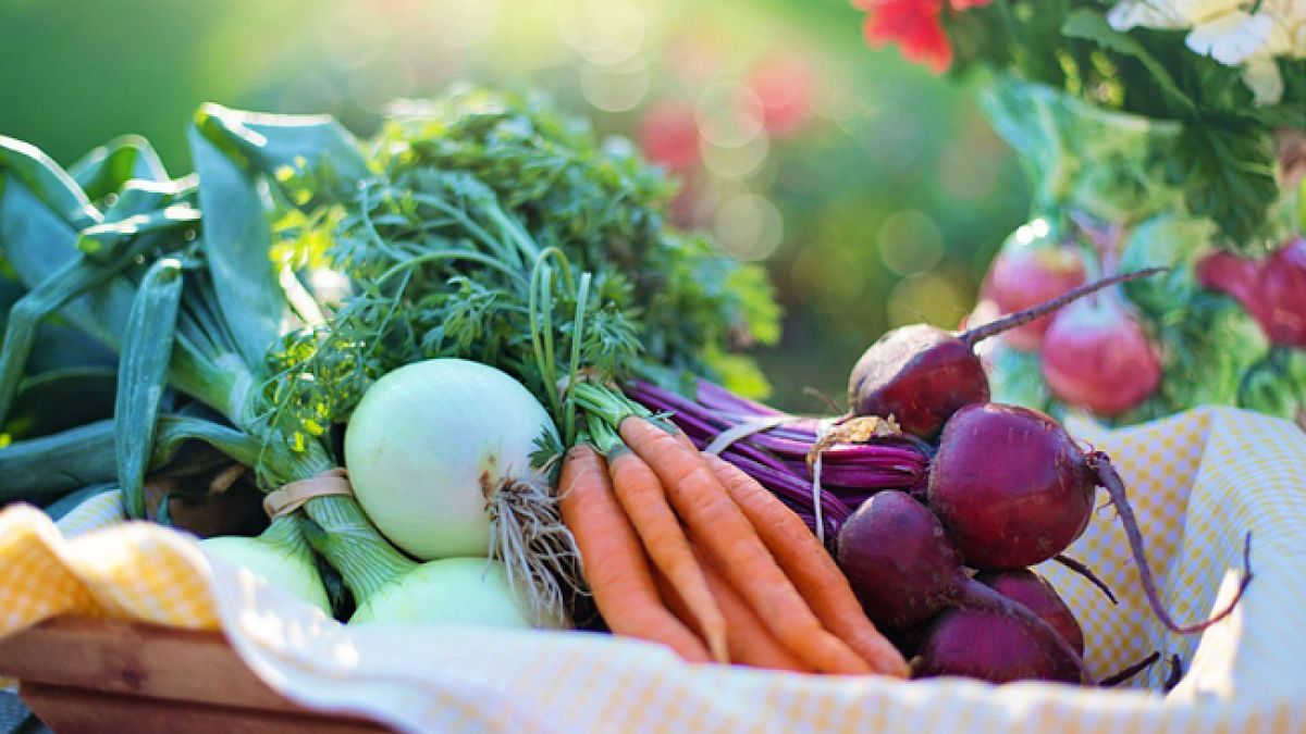 Лікарі назвали продукти, які допомагають очистити судини