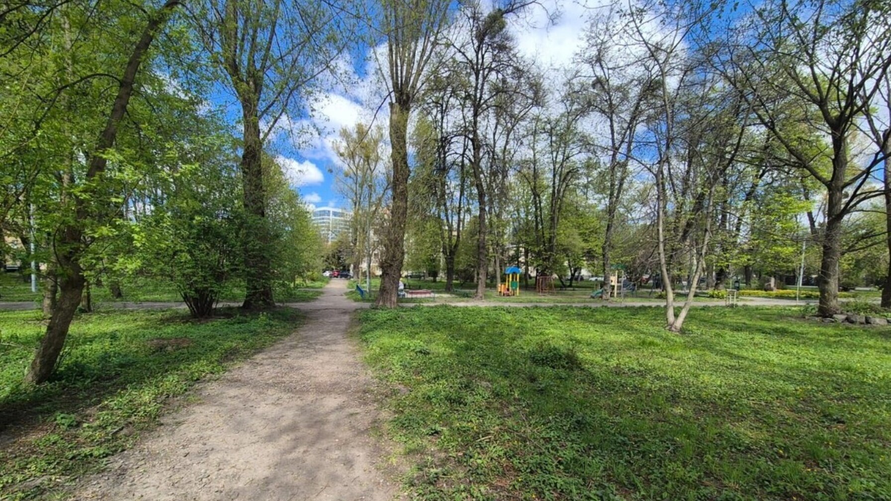 У закладах освіти Львова триває висадка дерев