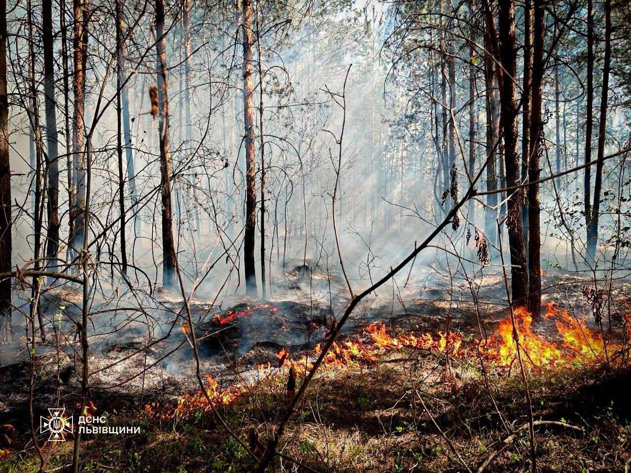 За добу на Львівщині рятувальники ліквідували 43 пожежі в екосистемах